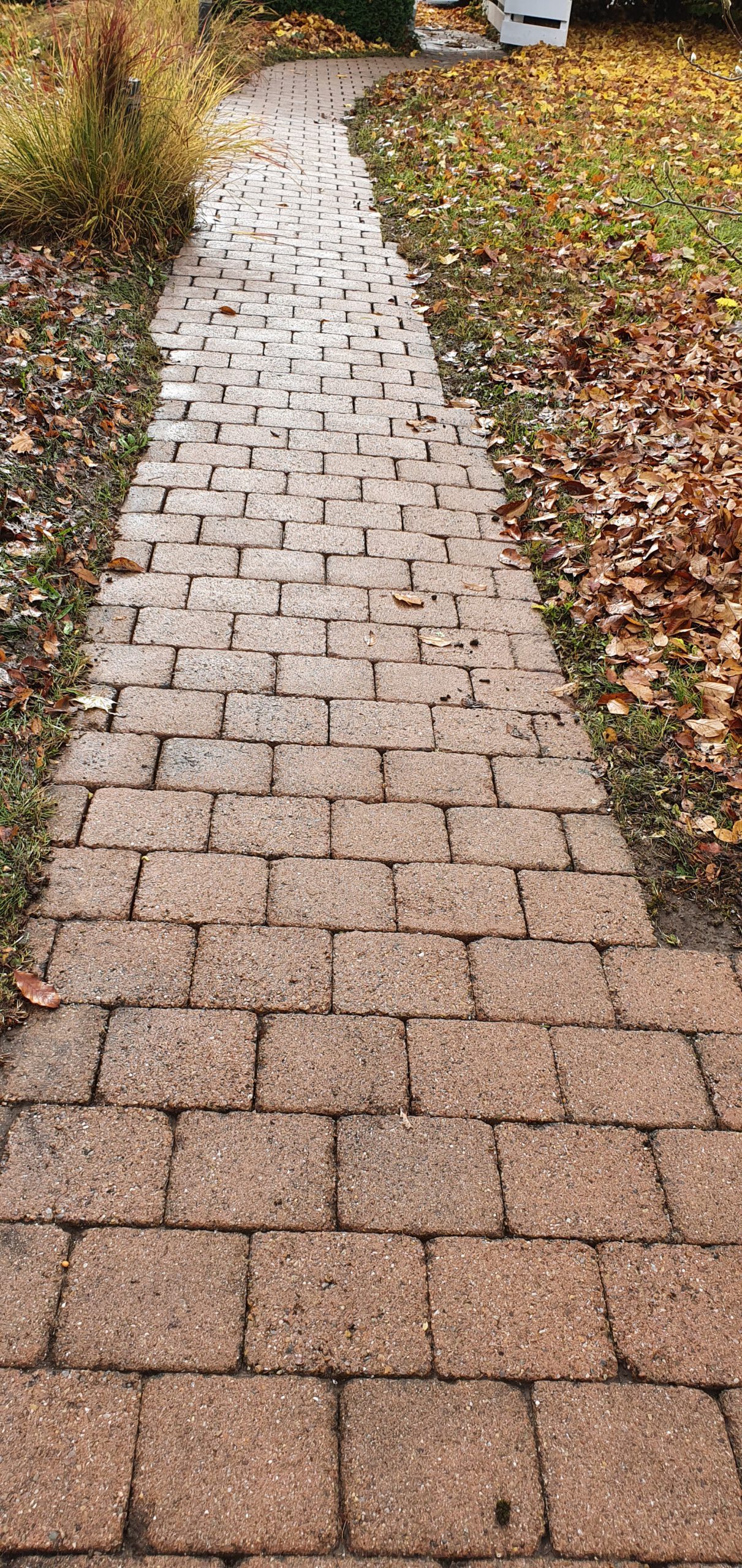 Wie neue Pflastersteine nach Reinigung
