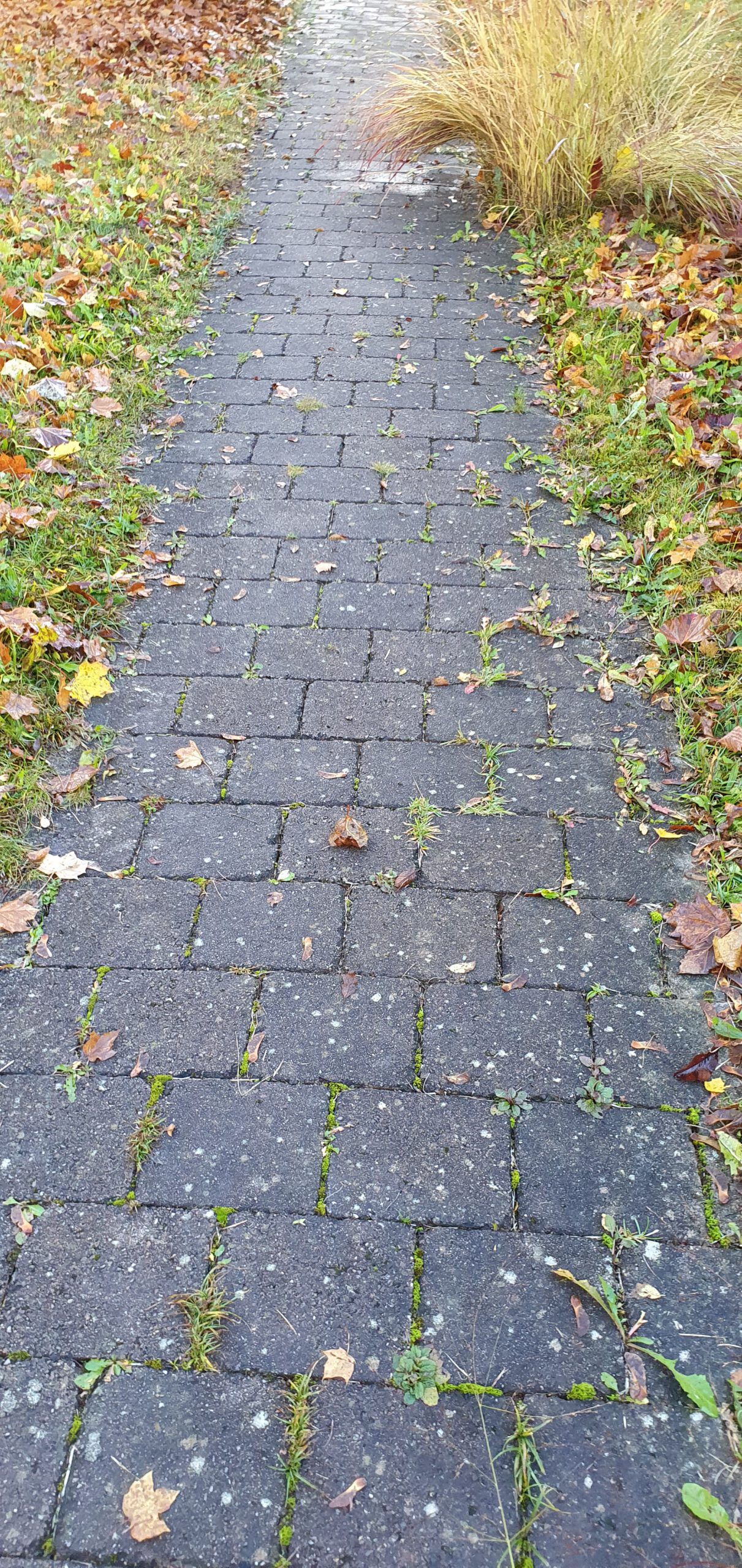 Verschmutzte Pflastersteine