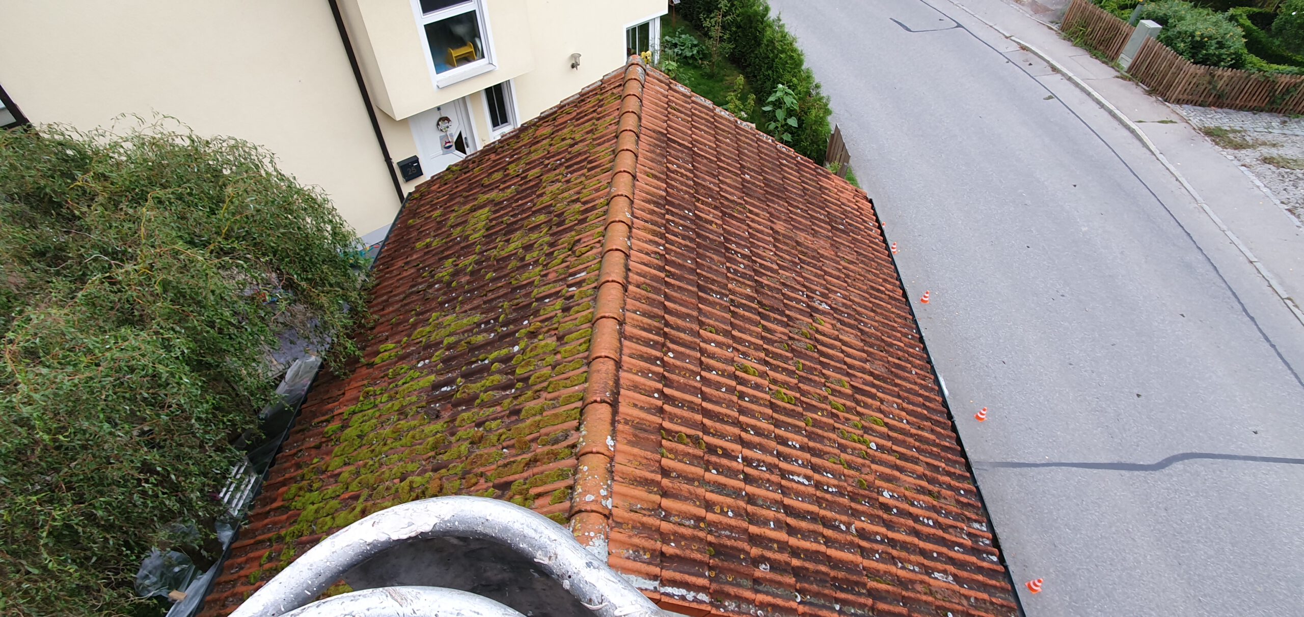 Dach mit Moos und Algenbewuchs