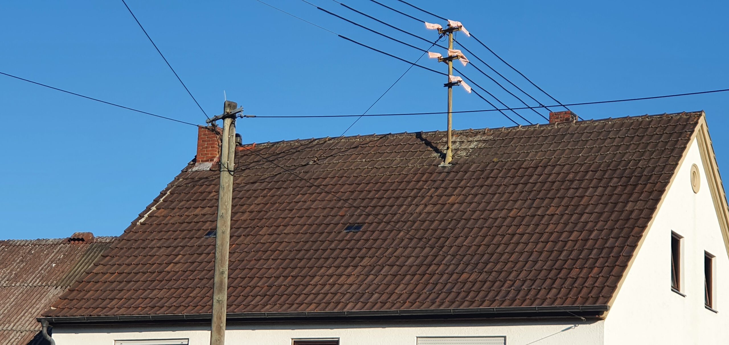 Stark bewachsenes Dach