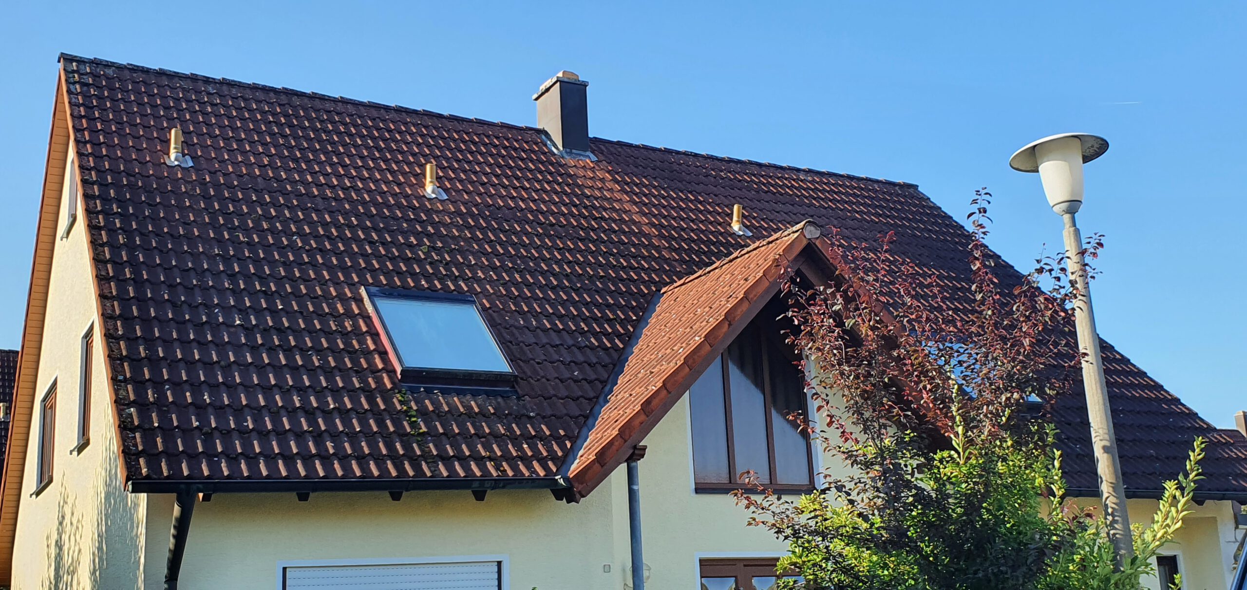 Stark bewachsenes Dach