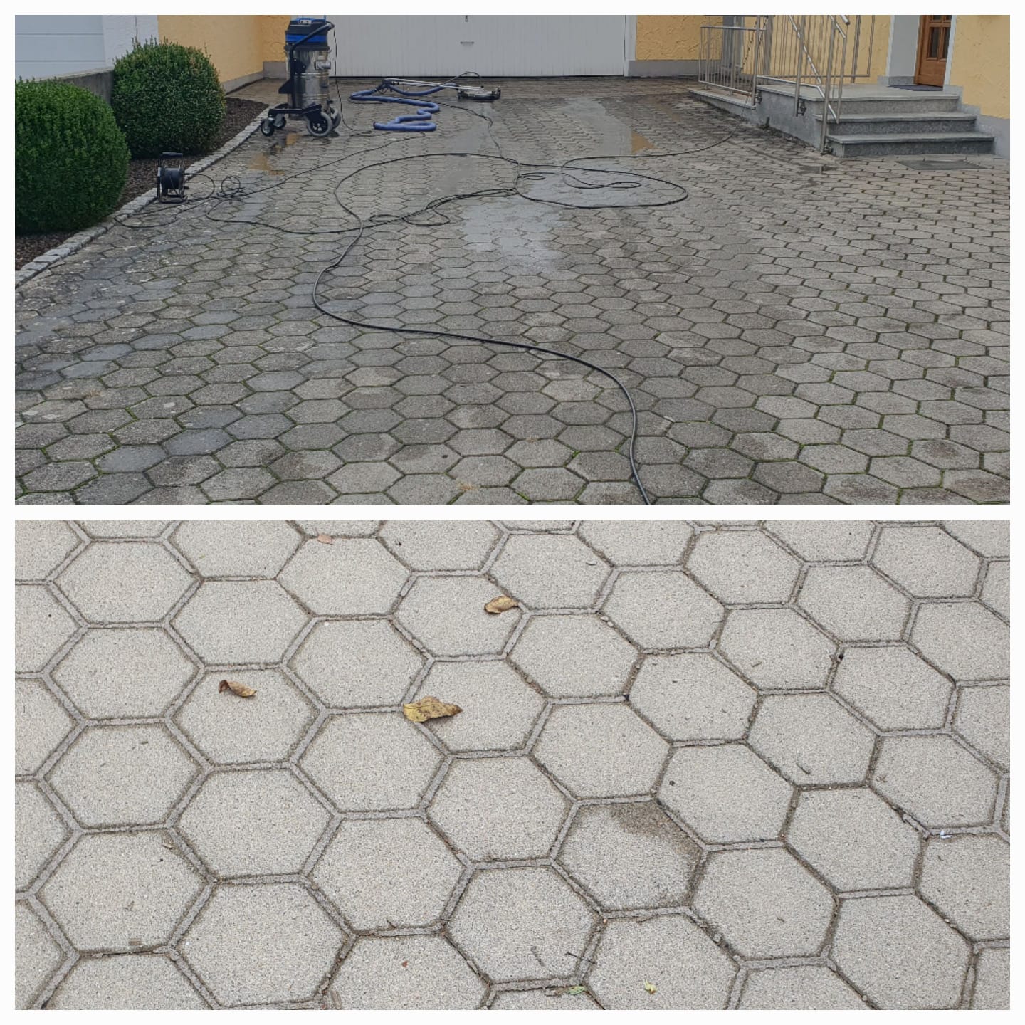 Professionelle Reinigungs