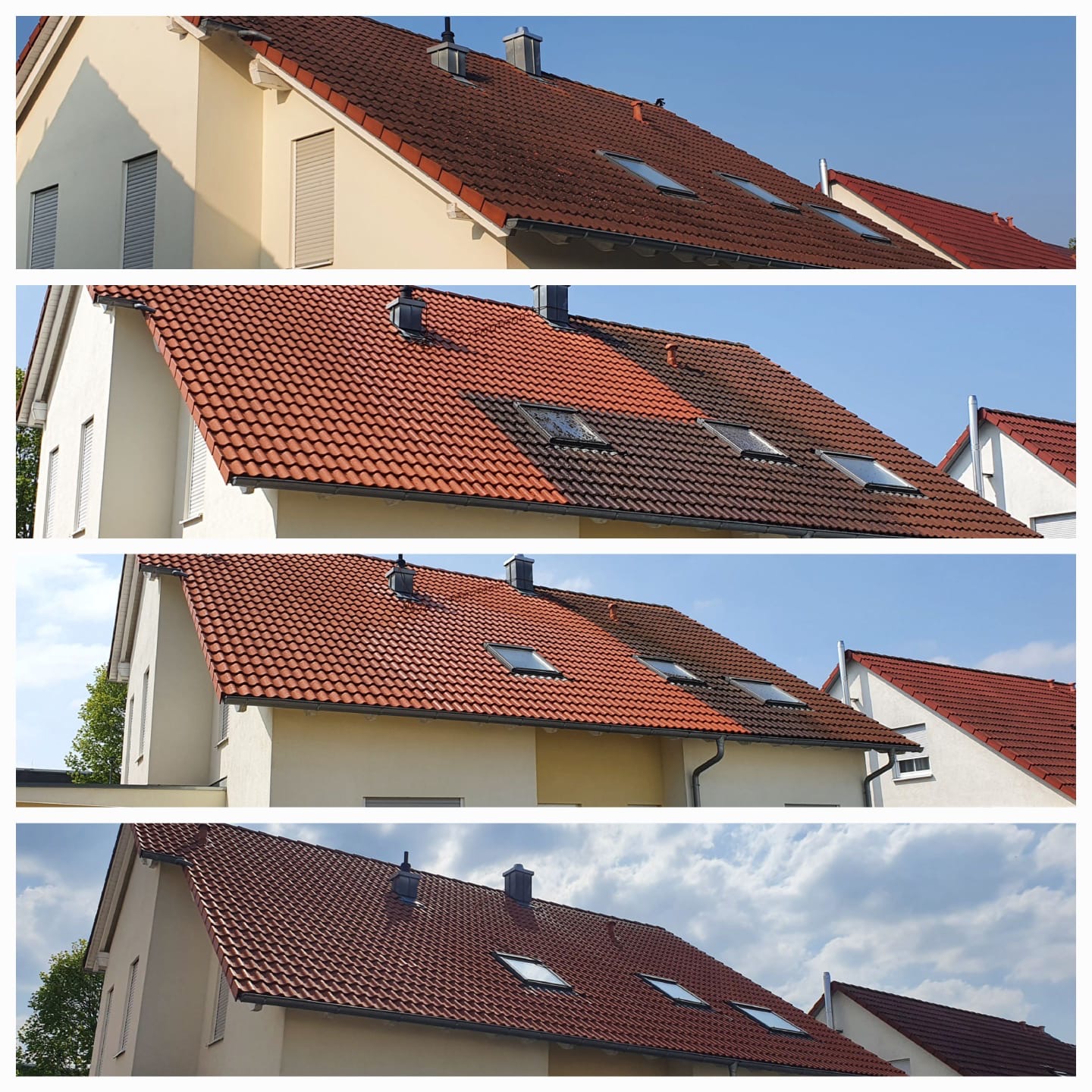 Professionelle Reinigungs