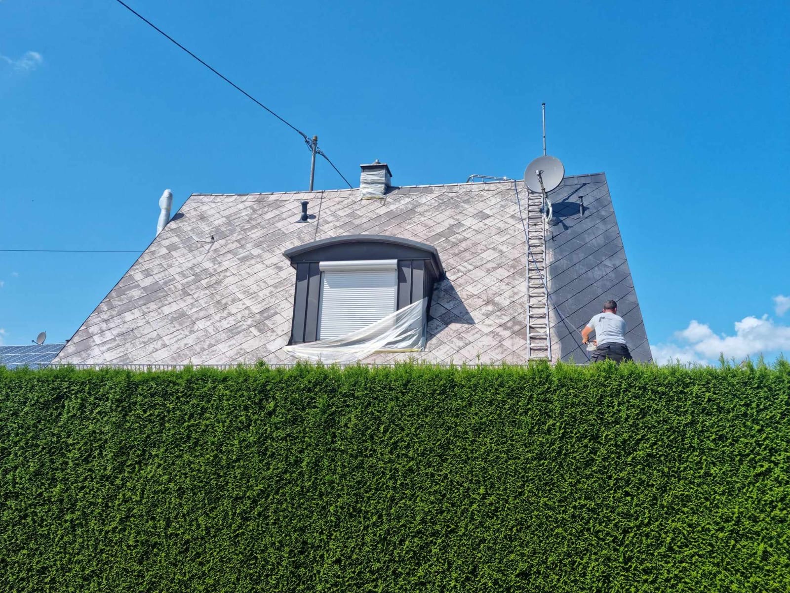 Professionelle Reinigungs