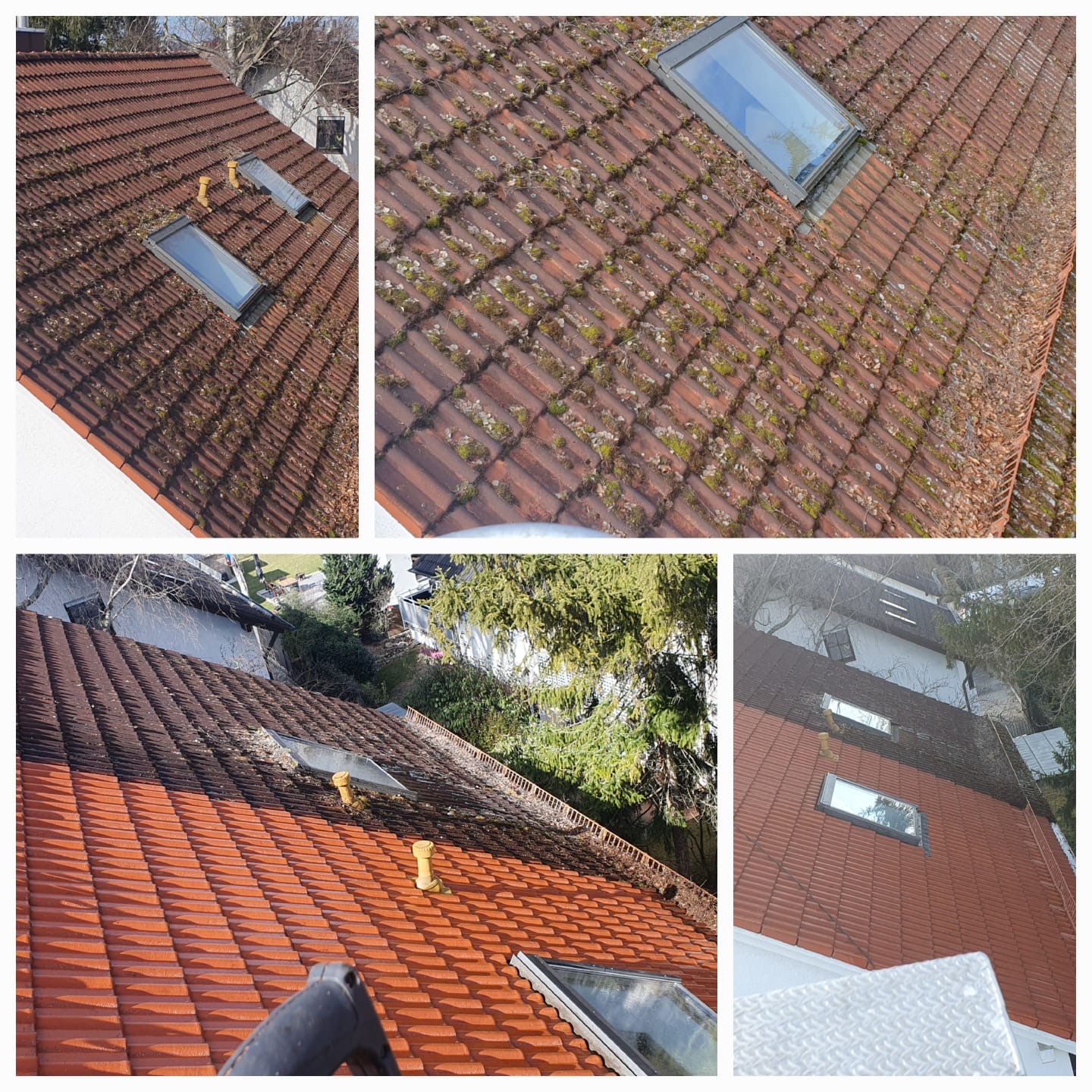 Professionelle Reinigungs