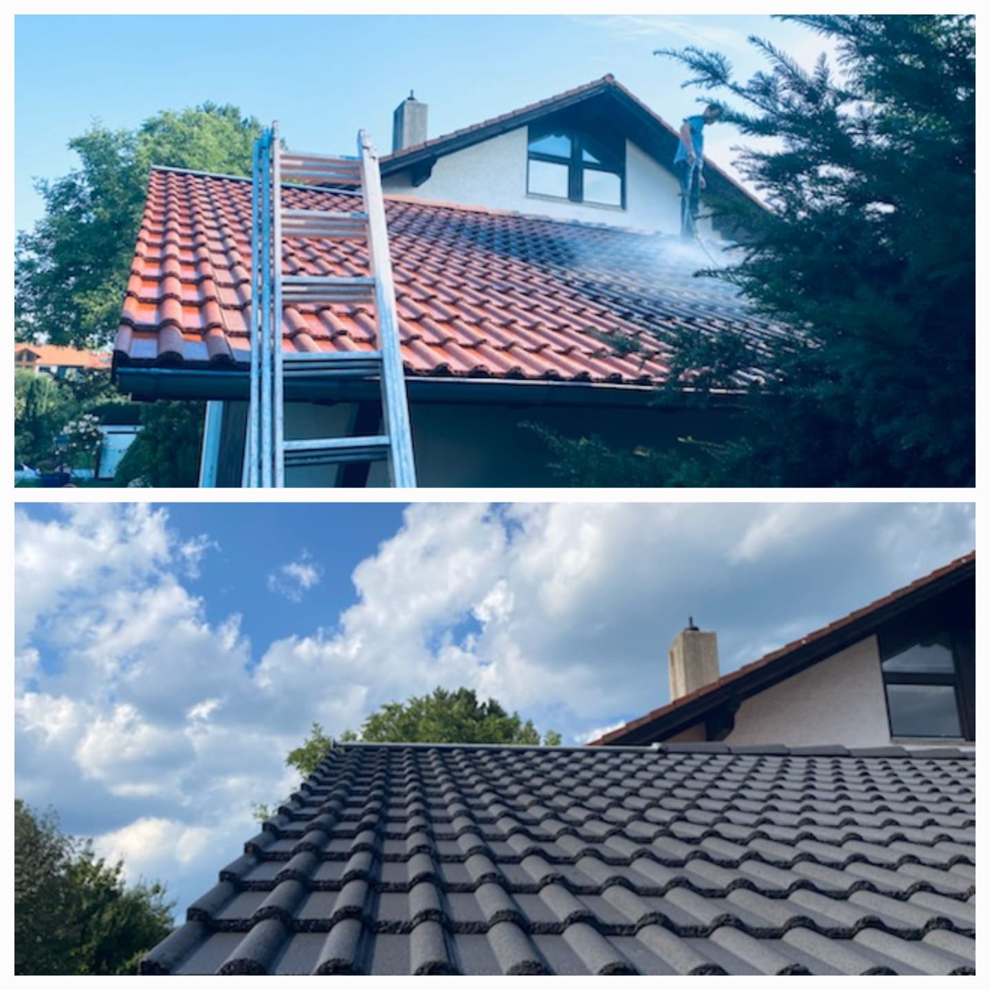 Professionelle Reinigungs