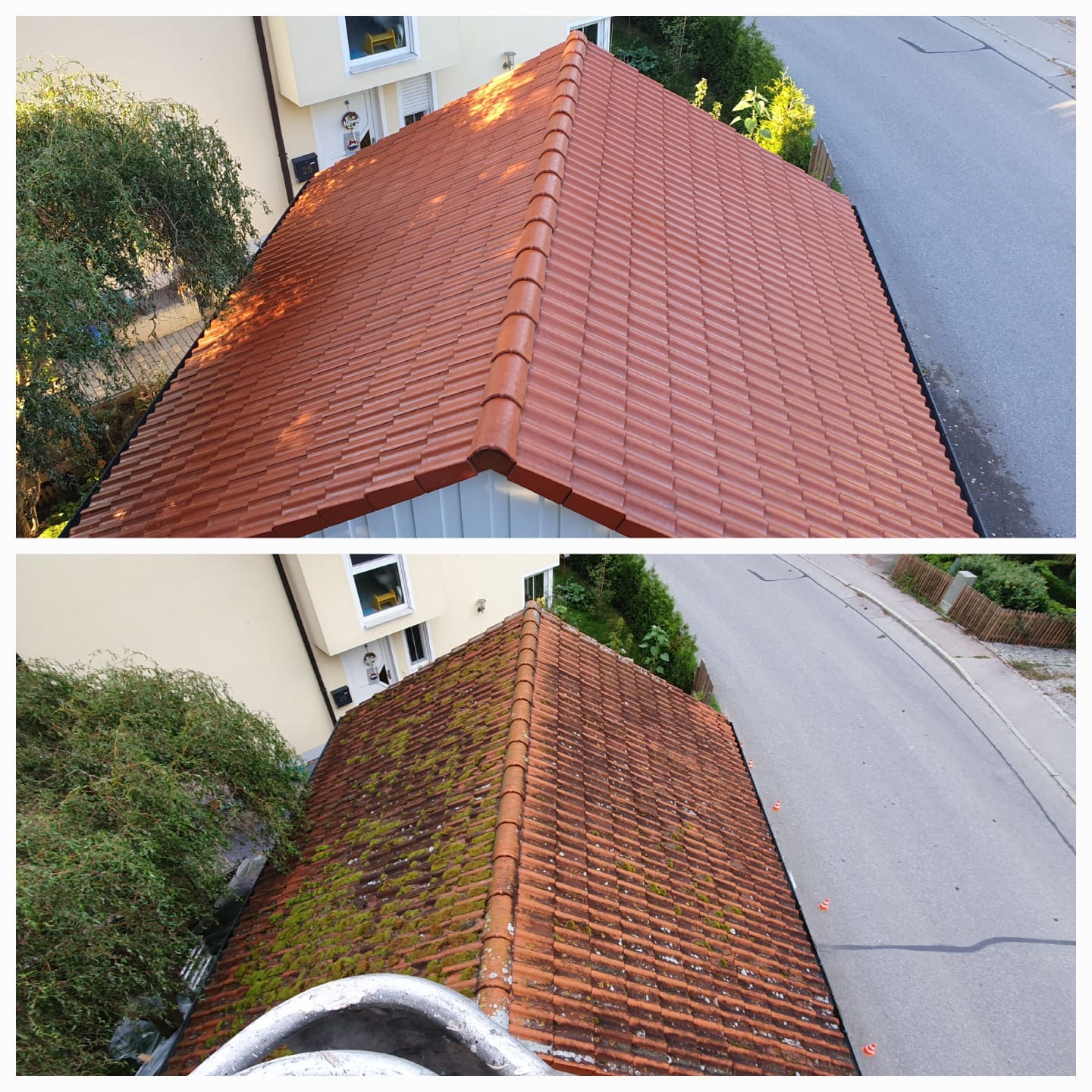 Professionelle Reinigungs