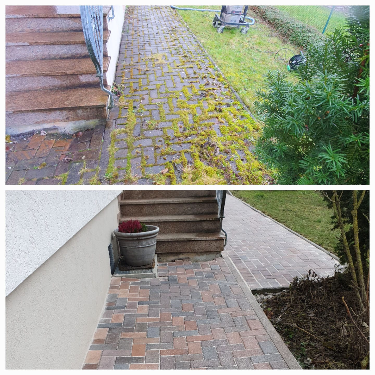 Professionelle Reinigungs