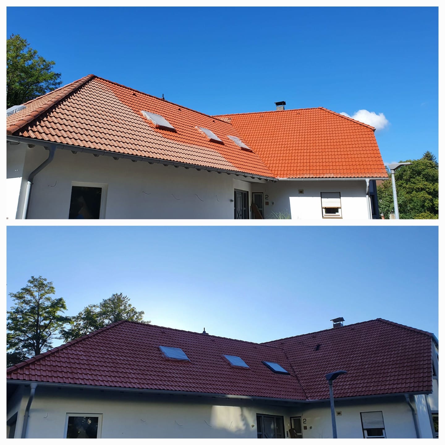 Professionelle Reinigungs