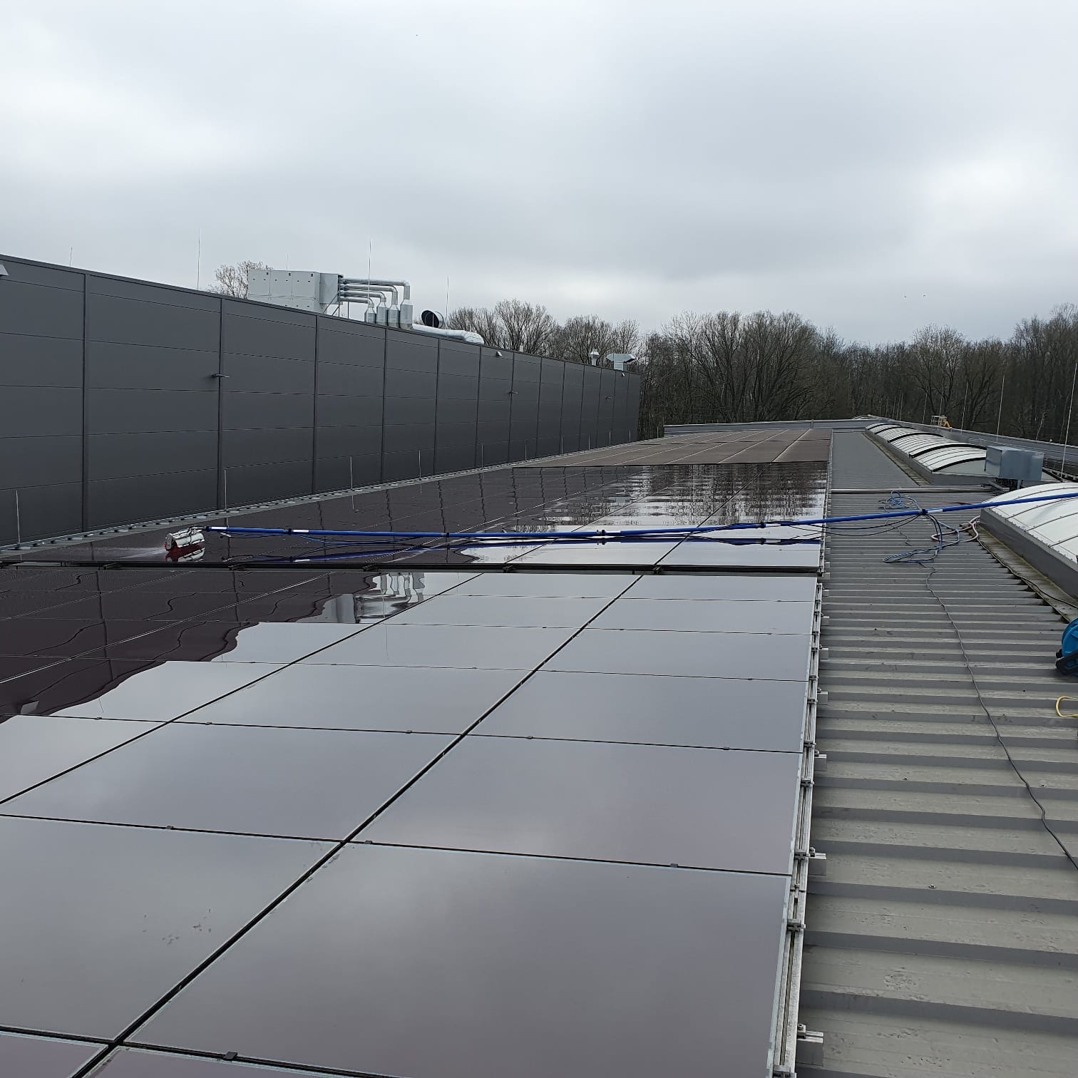 Professionelle Reinigungs