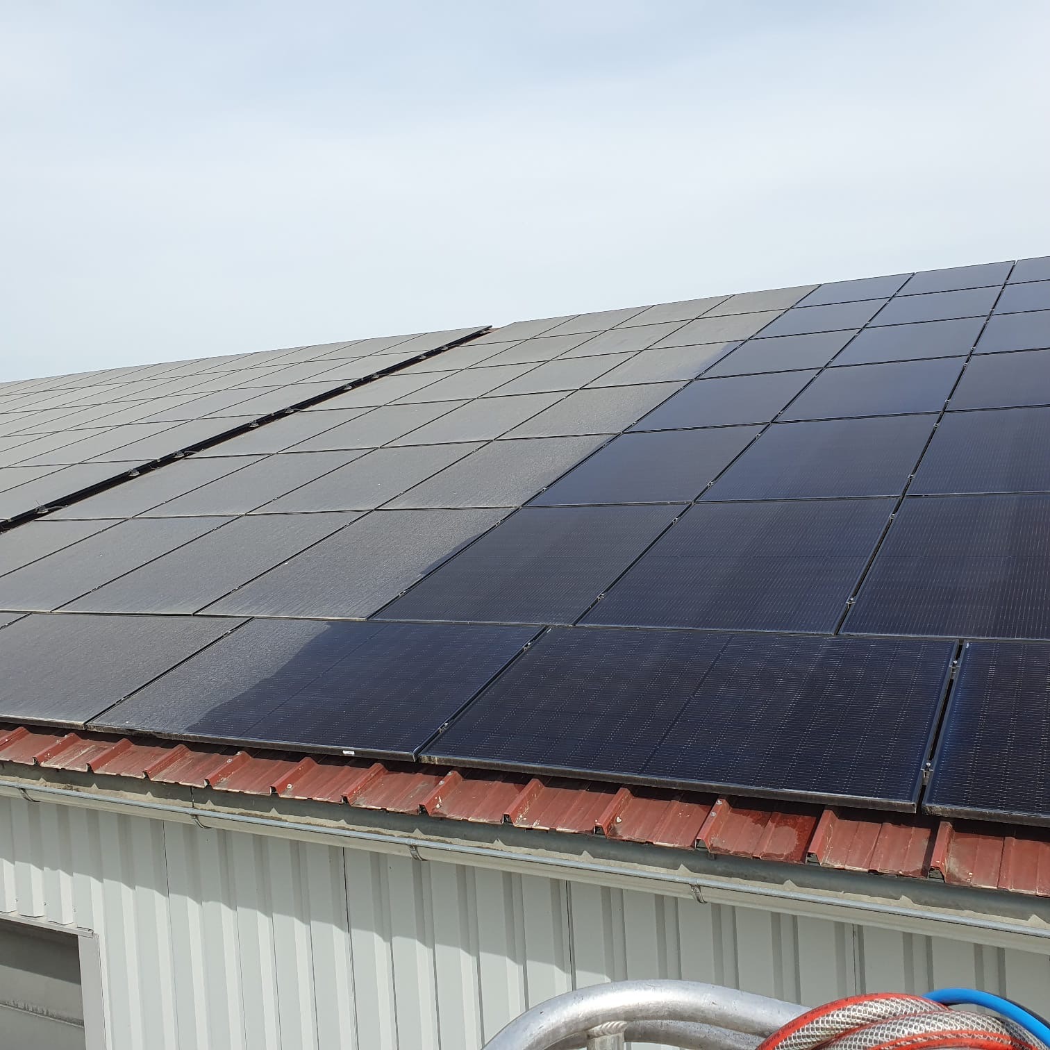 Professionelle Reinigungs