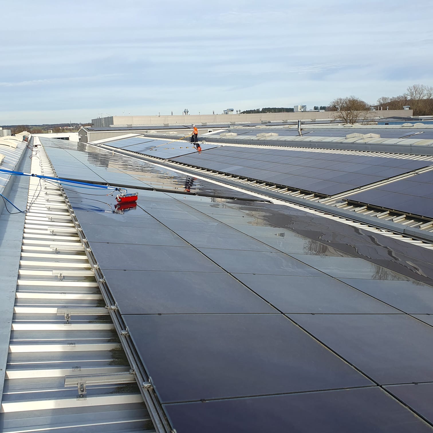 Professionelle Reinigungs