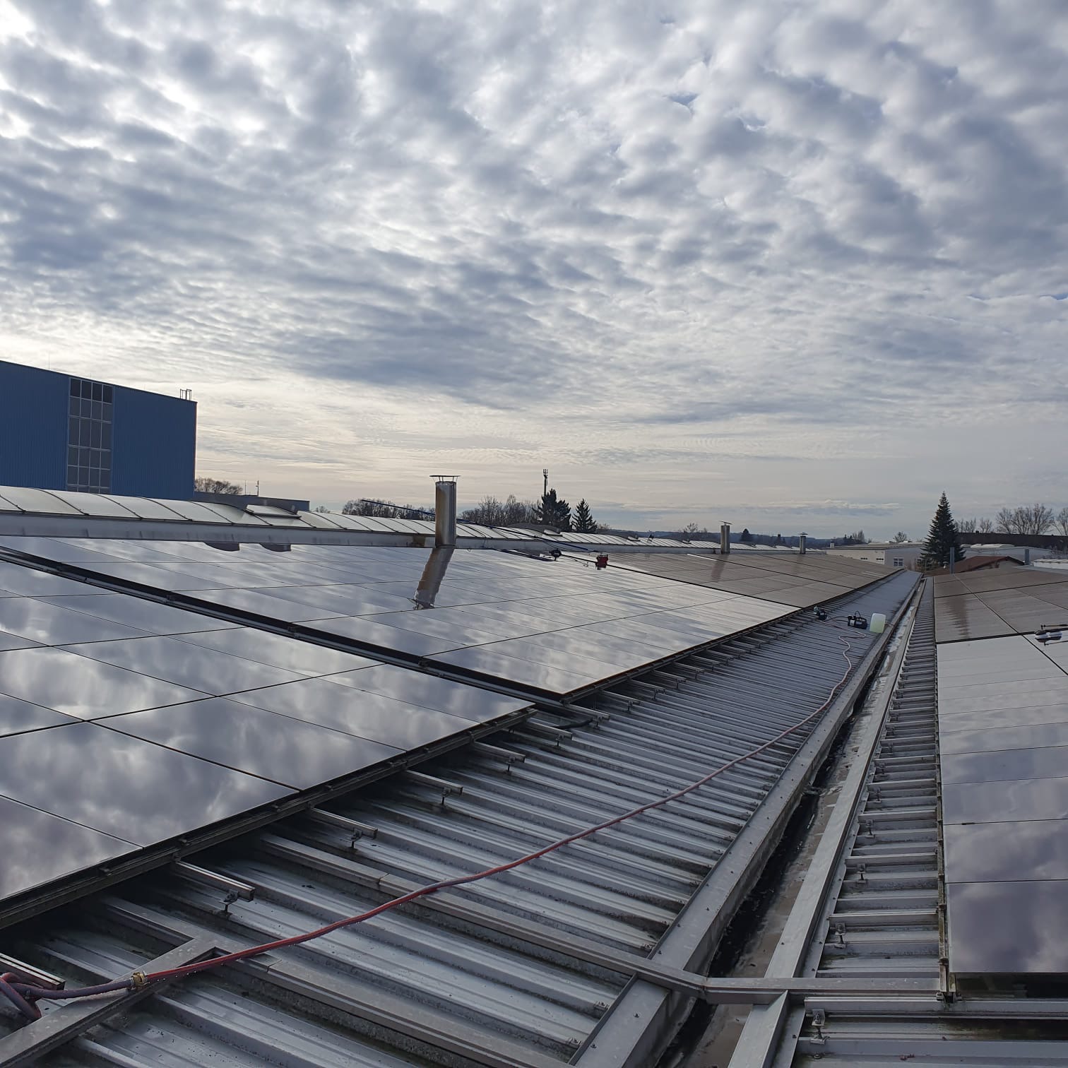 Professionelle Reinigungs