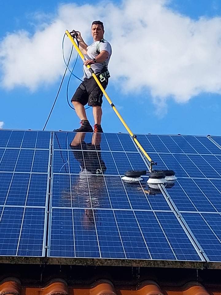 Professionelle Reinigungs