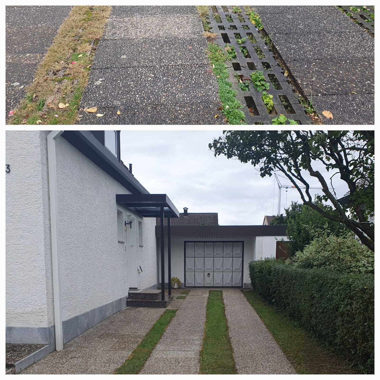 Professionelle Reinigungs