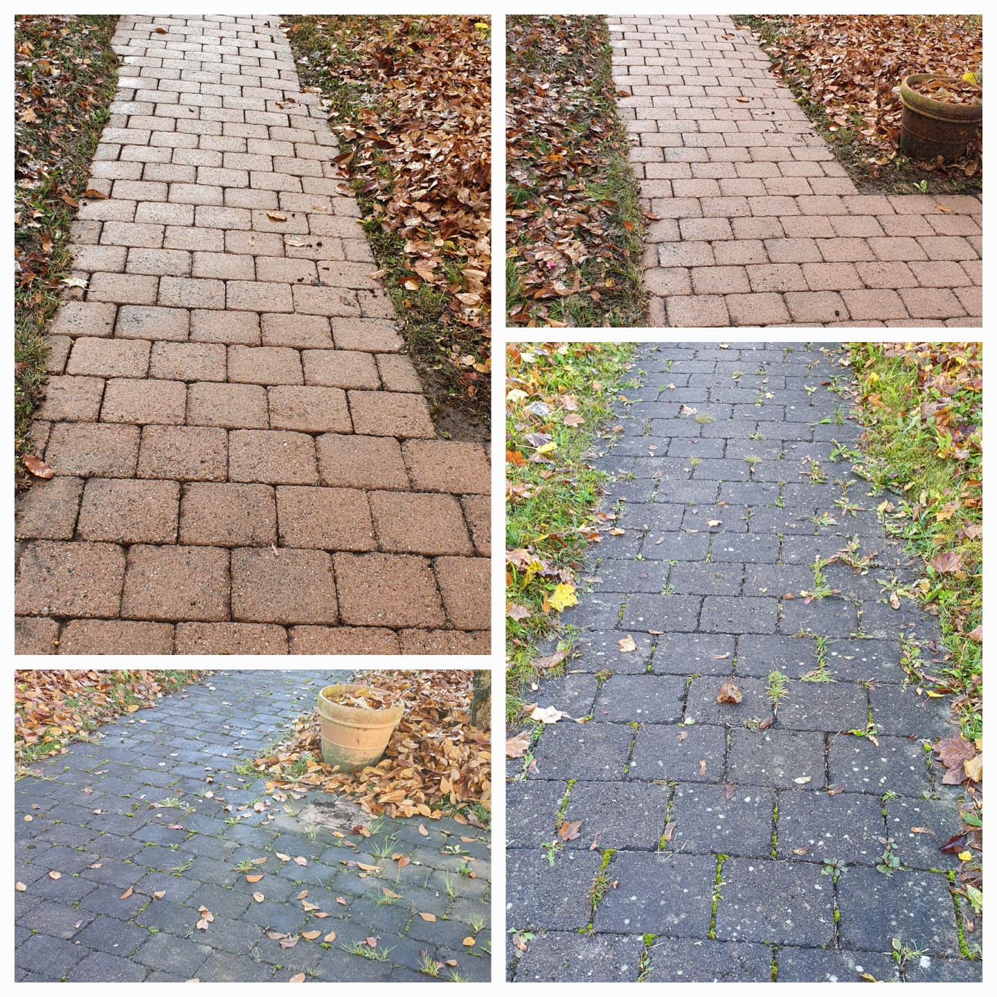 Professionelle Reinigungs