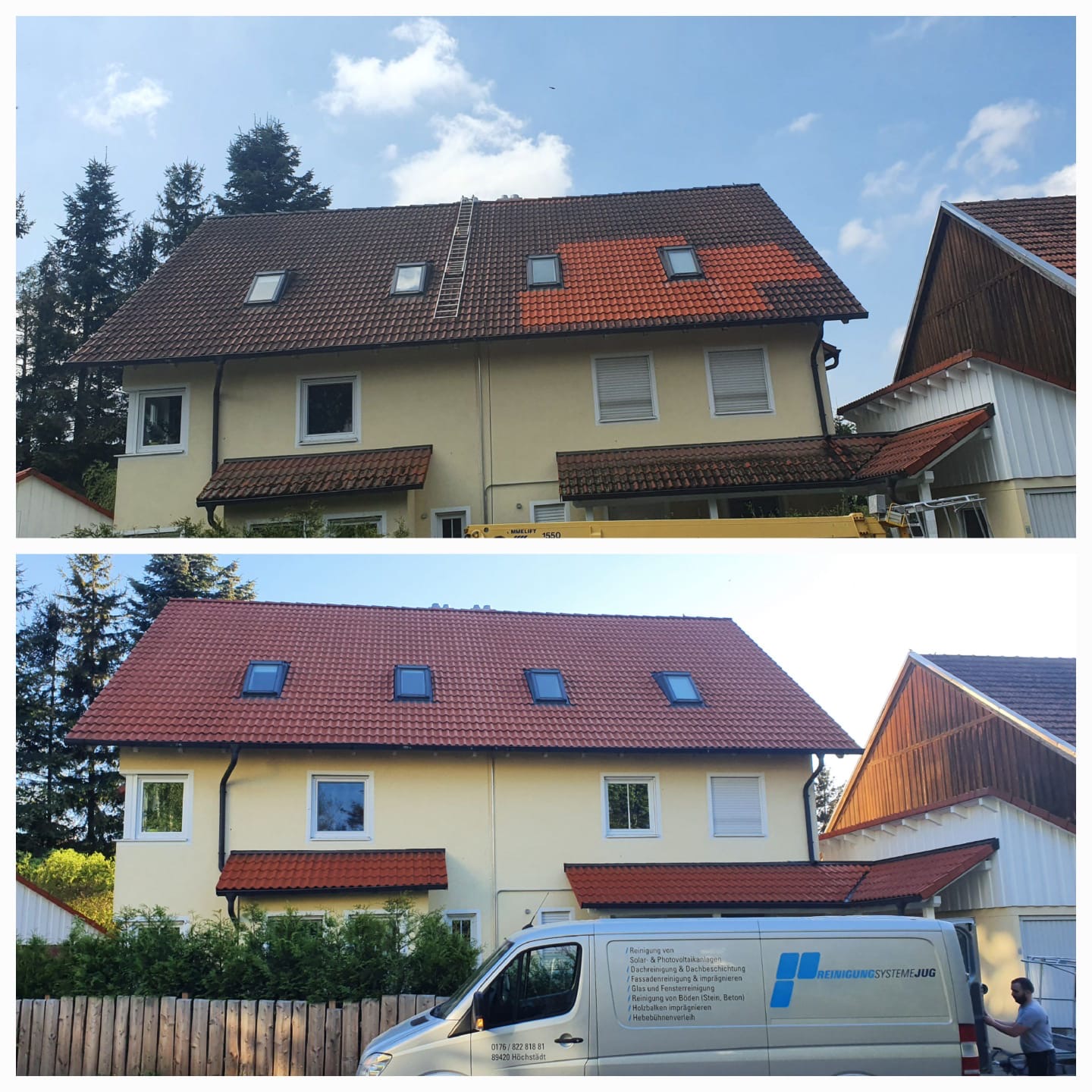 Professionelle Reinigungs